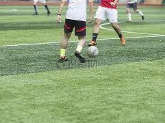 体育,产品,od体育,OD体育,OD体育官网,OD体育官方,OD体育下载