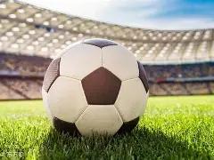 外汇的真正,含义是什么,od体育,OD体育,OD体育官网,OD体育官方,OD体育下载