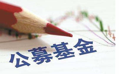 2026独家od体育直播:佛罗伦萨500万欧报价齐尔克泽,曼联评估进行时