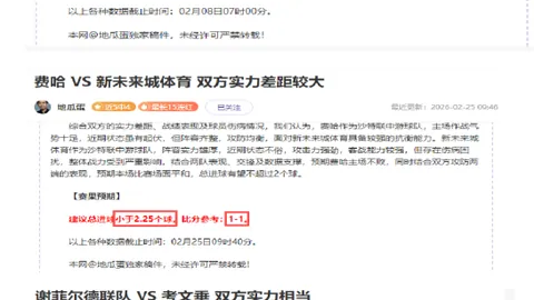 2025FE电动方程式上海赛事完美落幕，埃文斯和达科斯塔双双荣获冠军