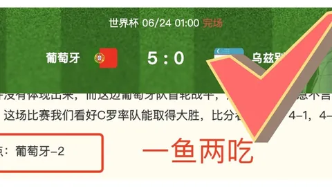 2026年战绩解析：近10战8胜，能否稳如泰山